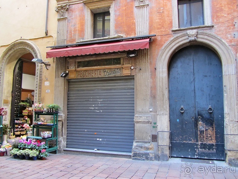 Эмилия-Романья вдоль и немного поперёк (Болонья и окрестности). Часть 2