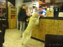 Италия в камне: Рим - Витербо - Гроссето - Питильяно - Сорано ... и опять Рим. Часть 3