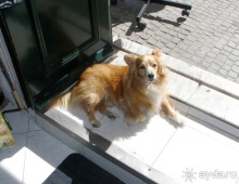 Порту и окрестности (Коимбра, Виана ду Каштело, Брага, Гимарайш, Вила ду Конде) Часть 1