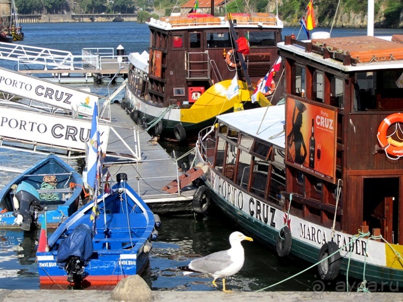 Порту и окрестности (Коимбра, Виана ду Каштело, Брага, Гимарайш, Вила ду Конде) Часть 1