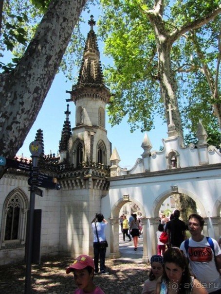 Порту и окрестности (Коимбра, Виана ду Каштело, Брага, Гимарайш, Вила ду Конде) Часть 1