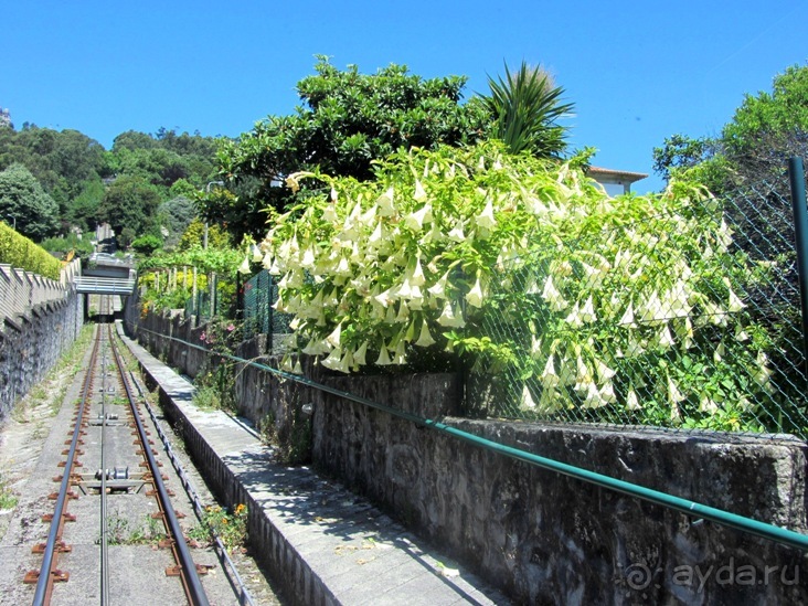 Порту и окрестности (Коимбра, Виана ду Каштело, Брага, Гимарайш, Вила ду Конде) Часть 1