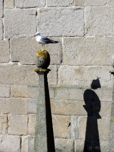 Порту и окрестности (Коимбра, Виана ду Каштело, Брага, Гимарайш, Вила ду Конде) Часть 1