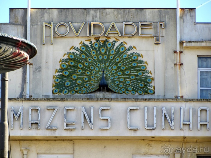 Порту и окрестности (Коимбра, Виана ду Каштело, Брага, Гимарайш, Вила ду Конде) Часть 1