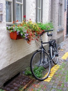 Бельгийские бродилки, пыхтелки и вопилки (с заездом в Маастрихт). Часть 4