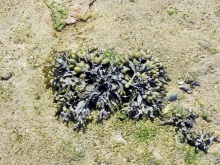 Испанская "Камчатка" - Галисия. Городские путешествия. Часть 7