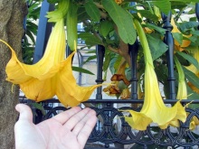 Испанская "Камчатка" - Галисия. Городские путешествия. Часть 7