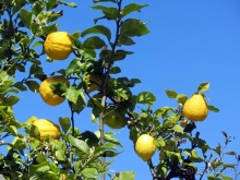 Испанская "Камчатка" - Галисия. Городские путешествия. Часть 7