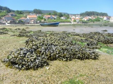 Испанская "Камчатка" - Галисия. Городские путешествия. Часть 7