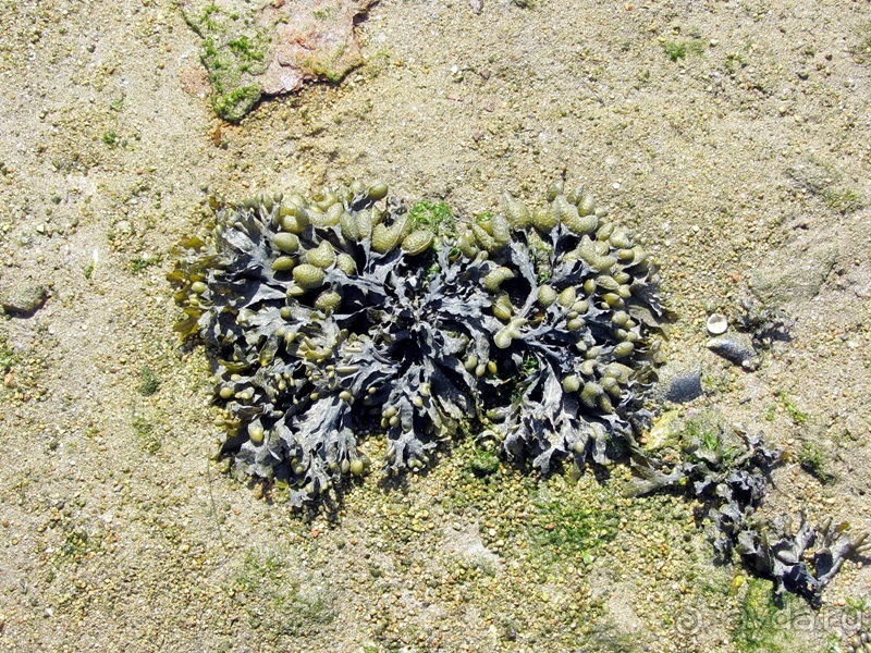 Испанская "Камчатка" - Галисия. Городские путешествия. Часть 7