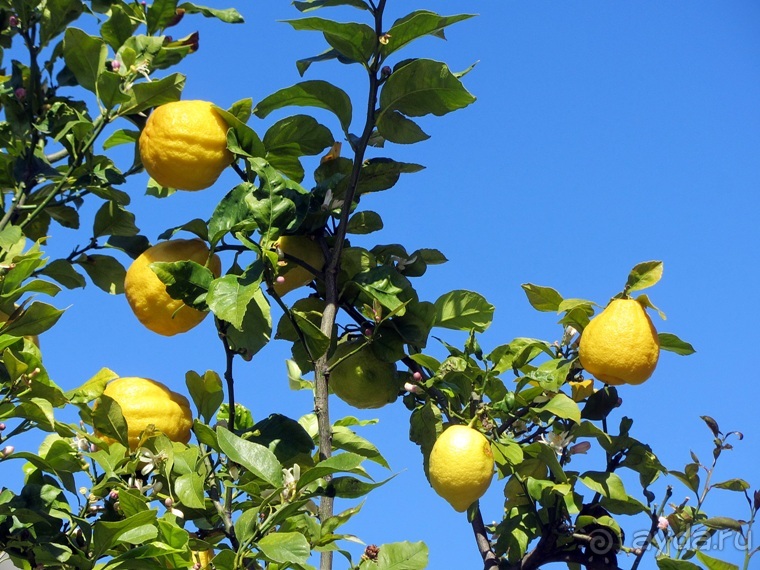 Испанская "Камчатка" - Галисия. Городские путешествия. Часть 7