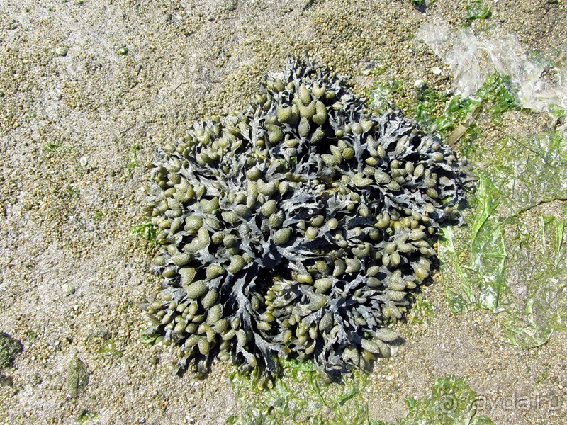 Испанская "Камчатка" - Галисия. Городские путешествия. Часть 7