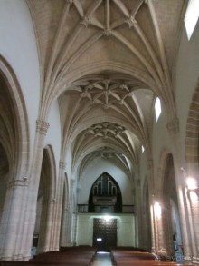 Как мы спасали ёжика и другие прогулки по Кастилии и вокруг Мадрида. Часть 15