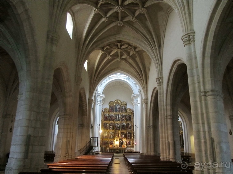 Как мы спасали ёжика и другие прогулки по Кастилии и вокруг Мадрида. Часть 15