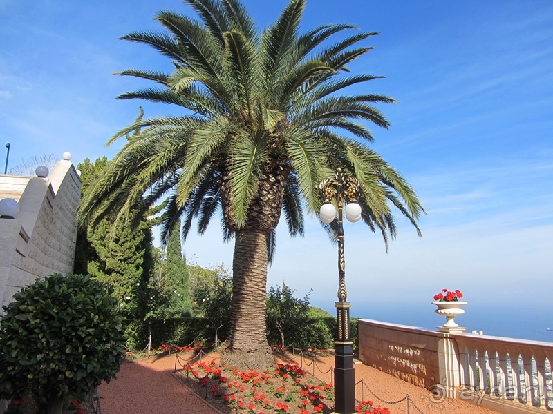 Второе пришествие в Израиль: Тель-Авив - Хайфа - Акко - Цфат - Галилея. Часть 1