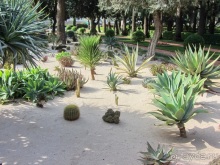 Второе пришествие в Израиль: Тель-Авив - Хайфа - Акко - Цфат - Галилея. Часть 1