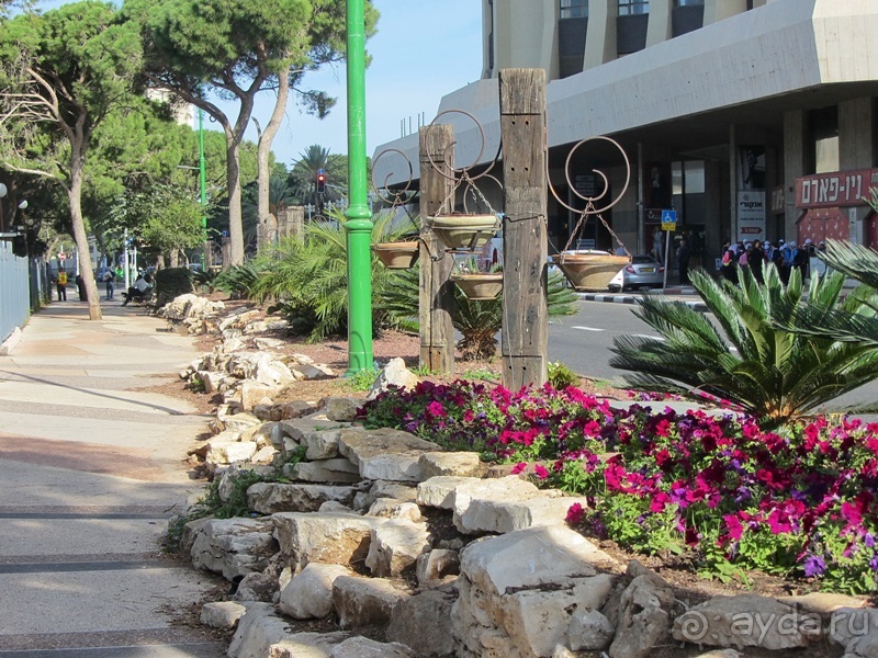 Второе пришествие в Израиль: Тель-Авив - Хайфа - Акко - Цфат - Галилея. Часть 1