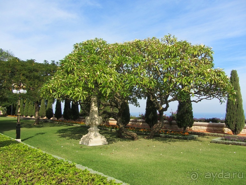 Второе пришествие в Израиль: Тель-Авив - Хайфа - Акко - Цфат - Галилея. Часть 1