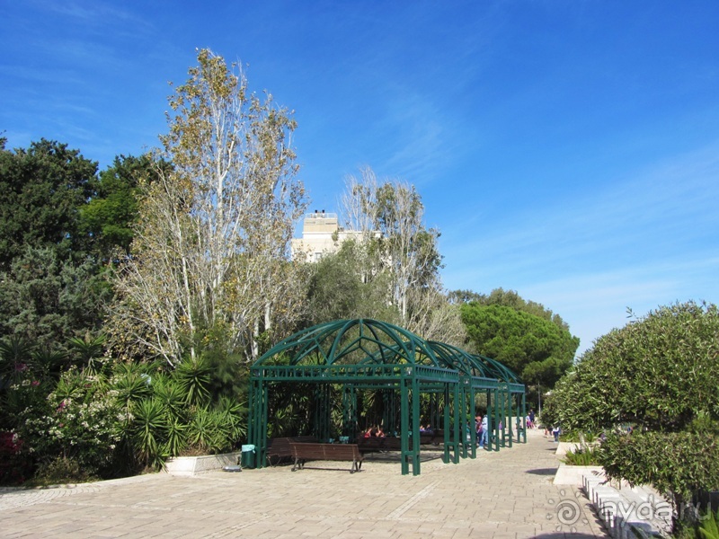 Второе пришествие в Израиль: Тель-Авив - Хайфа - Акко - Цфат - Галилея. Часть 1