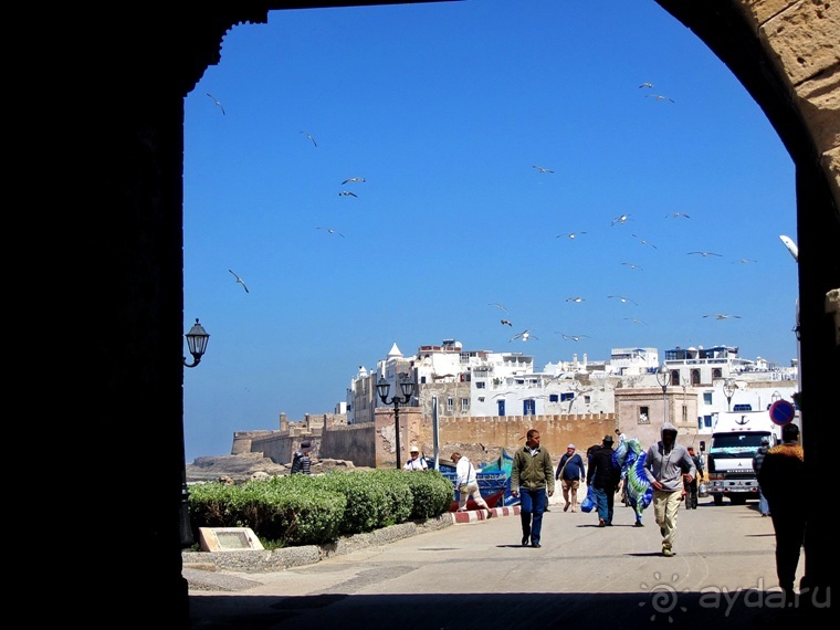 Возвращение на Восток: Марокко без мороки, или страна, которая не напрягает. Часть 9