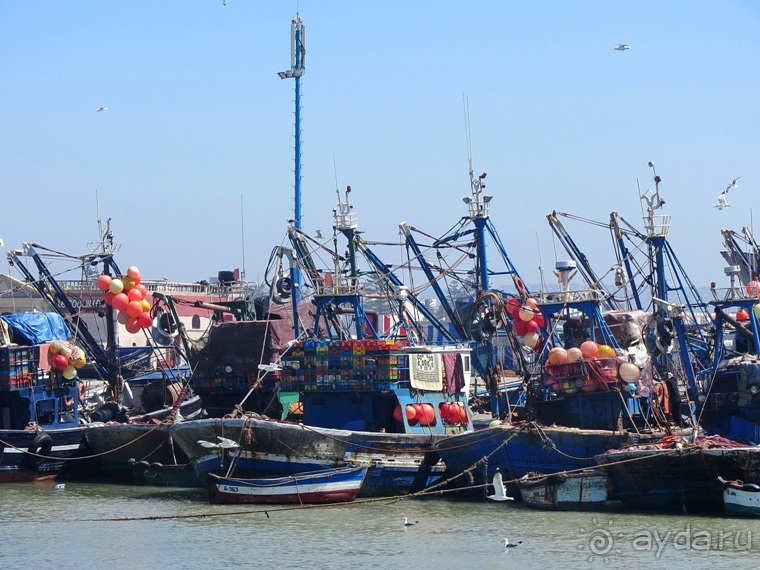 Возвращение на Восток: Марокко без мороки, или страна, которая не напрягает. Часть 9