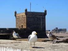 Возвращение на Восток: Марокко без мороки, или страна, которая не напрягает. Часть 9