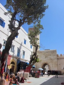 Возвращение на Восток: Марокко без мороки, или страна, которая не напрягает. Часть 9