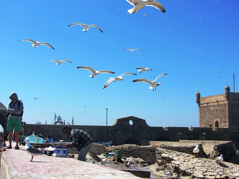 Возвращение на Восток: Марокко без мороки, или страна, которая не напрягает. Часть 9