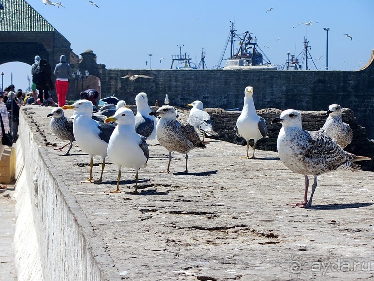 Возвращение на Восток: Марокко без мороки, или страна, которая не напрягает. Часть 9
