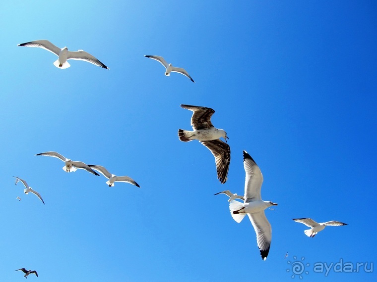 Возвращение на Восток: Марокко без мороки, или страна, которая не напрягает. Часть 9
