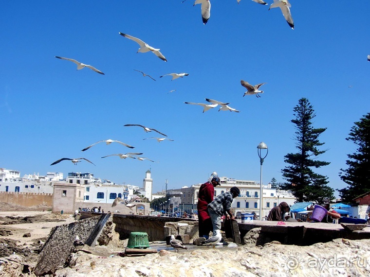 Возвращение на Восток: Марокко без мороки, или страна, которая не напрягает. Часть 9