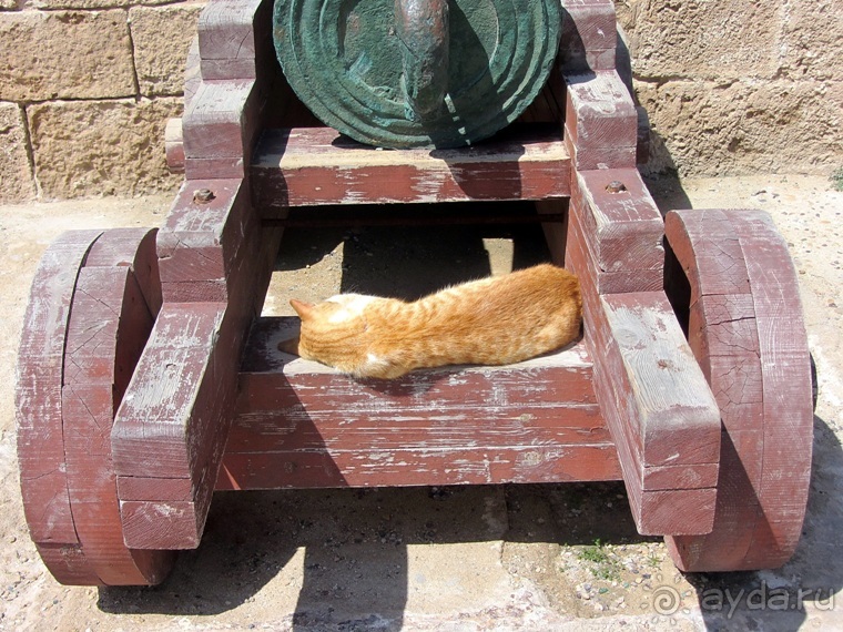 Возвращение на Восток: Марокко без мороки, или страна, которая не напрягает. Часть 9