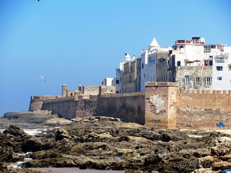 Возвращение на Восток: Марокко без мороки, или страна, которая не напрягает. Часть 9