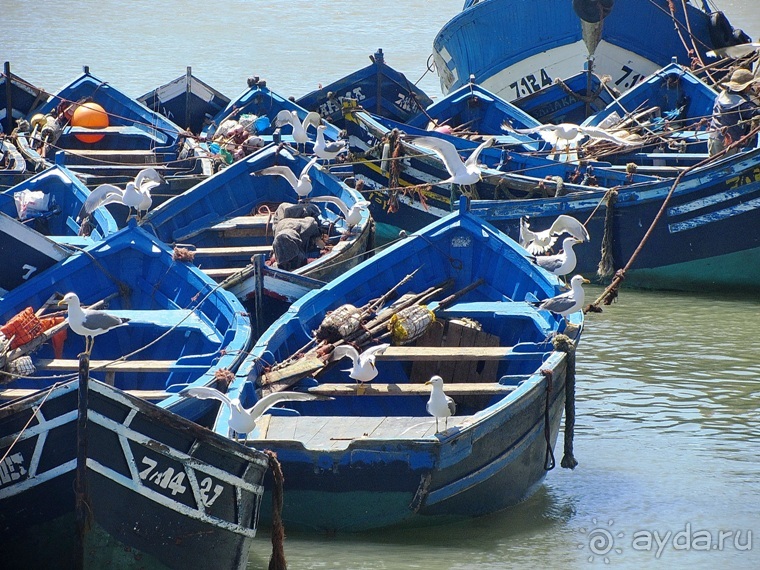 Возвращение на Восток: Марокко без мороки, или страна, которая не напрягает. Часть 9