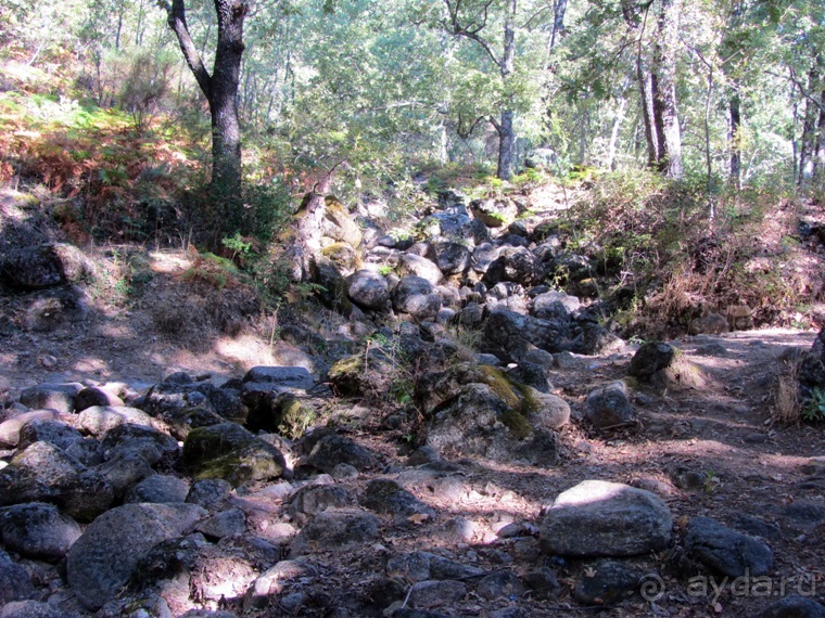 Как мы спасали ёжика и другие прогулки по Кастилии и вокруг Мадрида. Часть 6