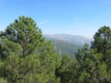 Как мы спасали ёжика и другие прогулки по Кастилии и вокруг Мадрида. Часть 6