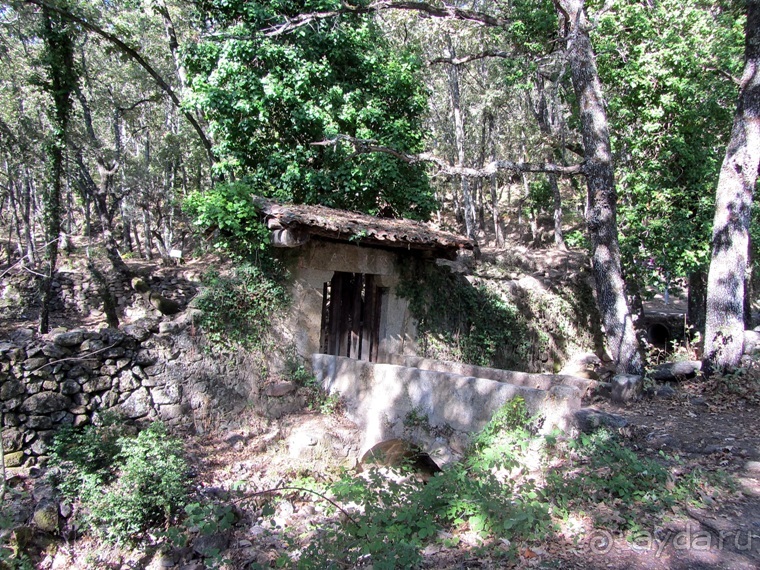 Как мы спасали ёжика и другие прогулки по Кастилии и вокруг Мадрида. Часть 6