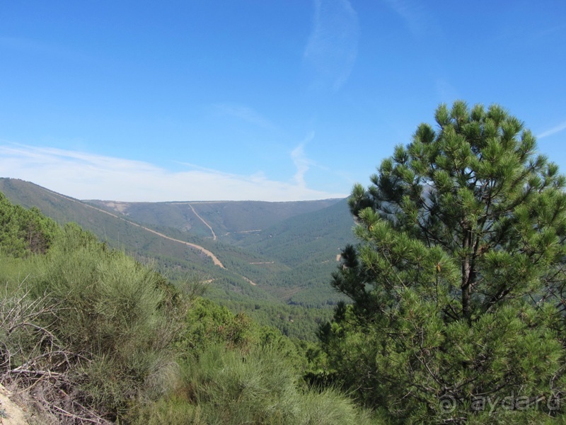 Как мы спасали ёжика и другие прогулки по Кастилии и вокруг Мадрида. Часть 6