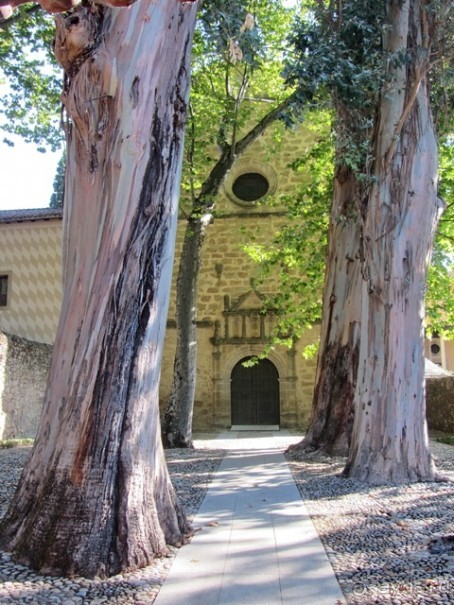 Как мы спасали ёжика и другие прогулки по Кастилии и вокруг Мадрида. Часть 6