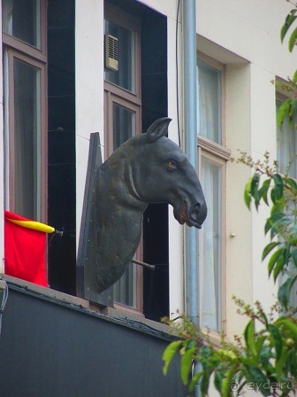 Бельгийские бродилки, пыхтелки и вопилки (с заездом в Маастрихт). Часть 9