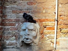 Венеция без стереотипов и Гранд-канала: сухопутные прогулки по Городу на воде. Часть 1/4