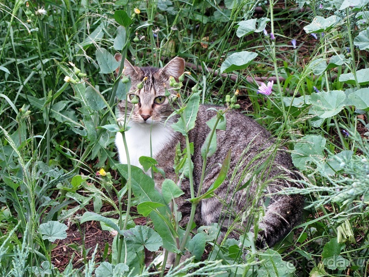Испанская "Камчатка" - Галисия. Городские путешествия