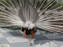 Испанская "Камчатка" - Галисия. Городские путешествия