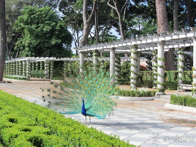 Испанская "Камчатка" - Галисия. Городские путешествия