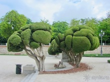 Испанская "Камчатка" - Галисия. Городские путешествия