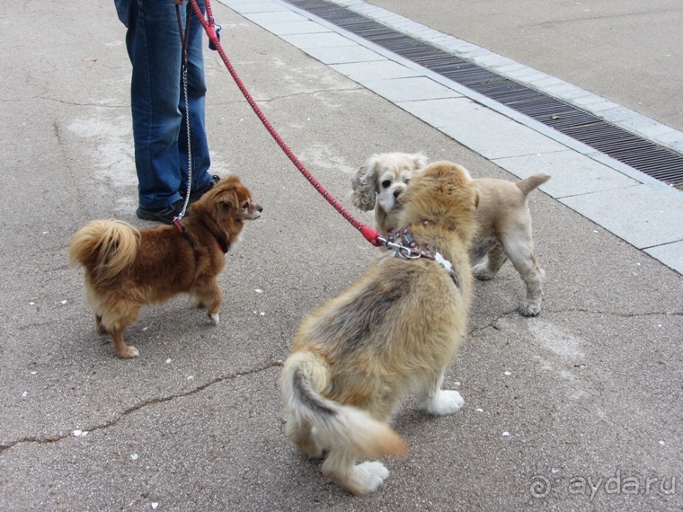 Испанская "Камчатка" - Галисия. Городские путешествия