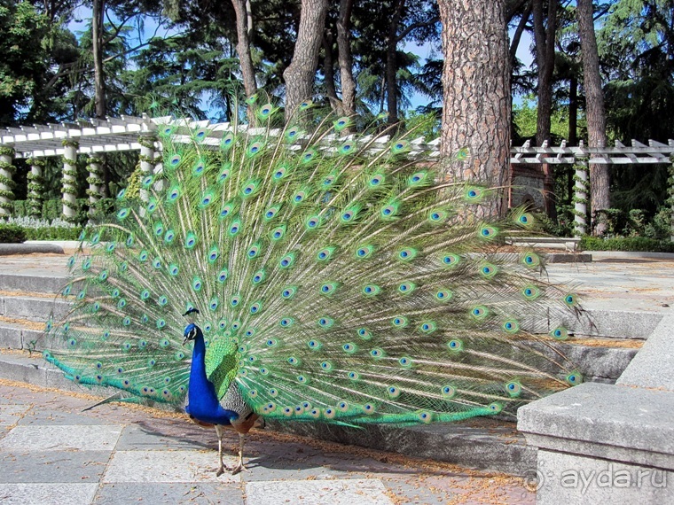 Испанская "Камчатка" - Галисия. Городские путешествия