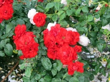 Испанская "Камчатка" - Галисия. Городские путешествия