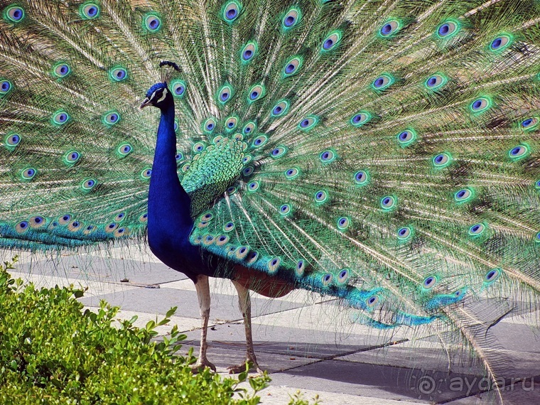Испанская "Камчатка" - Галисия. Городские путешествия