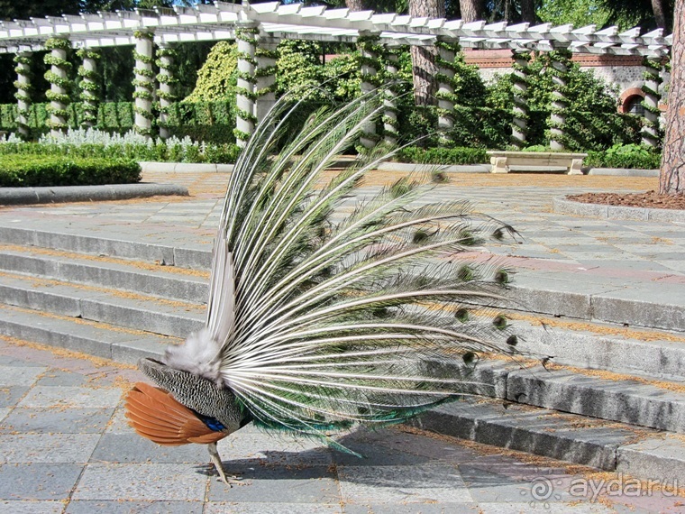 Испанская "Камчатка" - Галисия. Городские путешествия